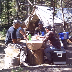Group At Camp Site
